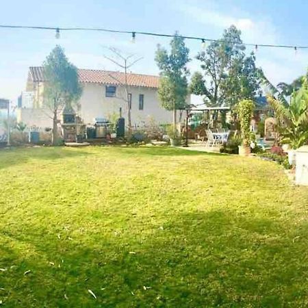 Nurit אחוזת היניבים Yaniv Estateヴィラ エクステリア 写真