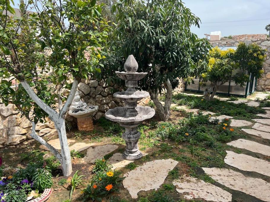 Nurit אחוזת היניבים Yaniv Estateヴィラ エクステリア 写真