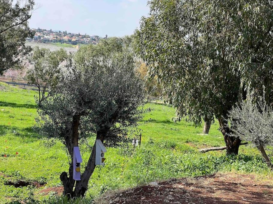 Nurit אחוזת היניבים Yaniv Estateヴィラ エクステリア 写真