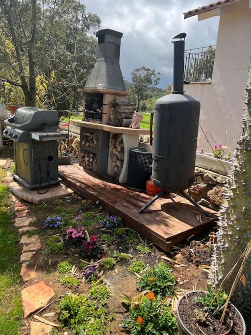 Nurit אחוזת היניבים Yaniv Estateヴィラ エクステリア 写真