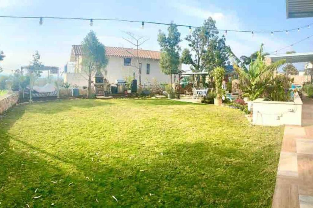 Nurit אחוזת היניבים Yaniv Estateヴィラ エクステリア 写真