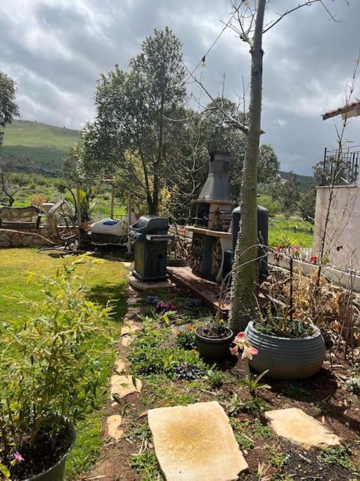 Nurit אחוזת היניבים Yaniv Estateヴィラ エクステリア 写真
