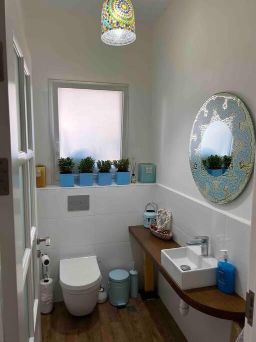Nurit אחוזת היניבים Yaniv Estateヴィラ エクステリア 写真