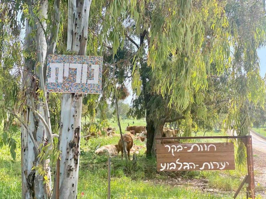 Nurit אחוזת היניבים Yaniv Estateヴィラ エクステリア 写真
